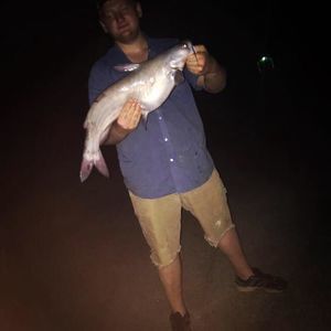 Meet your Posher, Joshua